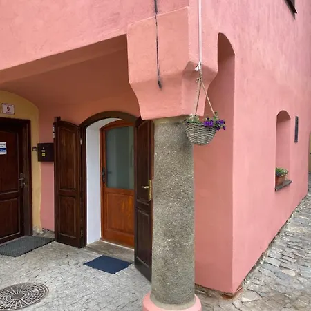 U Synagogy Apartment Trebic
