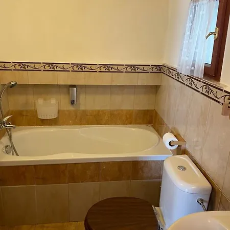 U Synagogy Apartment Trebic