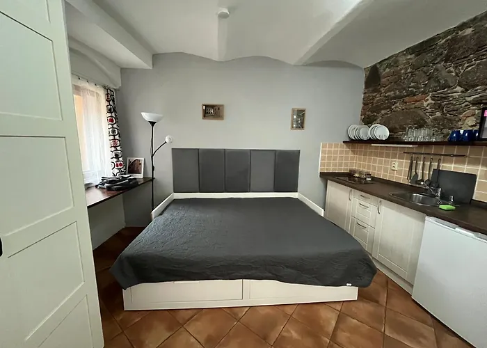 U Synagogy Apartamento *